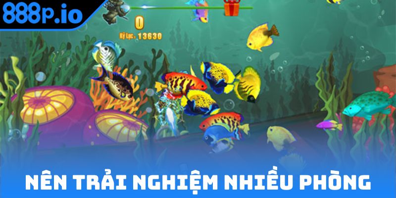 Nên trải nghiệm nhiều phòng cá cược khác nhau